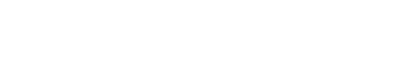 主な診療内容